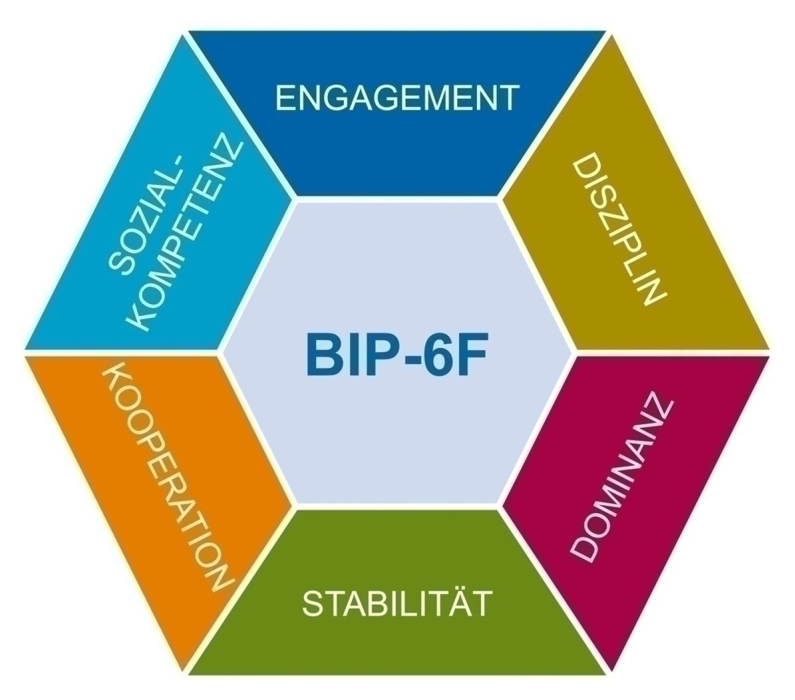 Bochumer Inventar Zur Berufsbezogenen Persönlichkeitsbeschreibung BIP®-6F - Bochumer Inventar zur berufsbezogenen