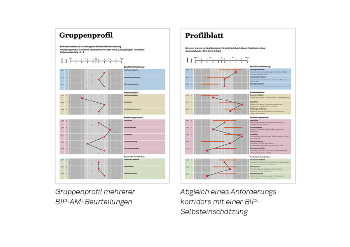 Bochumer Inventar Zur Berufsbezogenen Persönlichkeitsbeschreibung BIP-AM - Bochumer Inventar zur berufsbezogenen