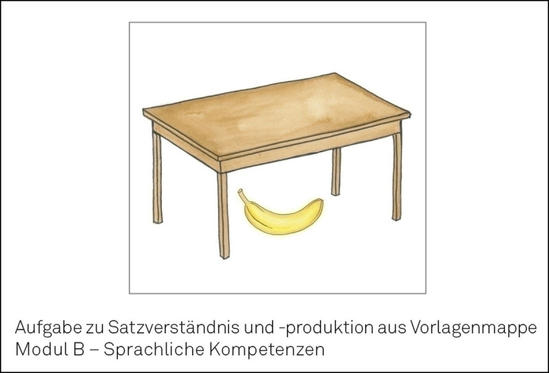 Test komplett bestehend aus: Manual, 10 Protokollbogen, 10 Profilbogen, Vorlagenmappe ModulA – Schriftsprachliche (Vorläufer-) Fertigkeiten, Vorlagenmappe Modul B – Sprachliche Kompetenzen,Vorlagenmappe C Mathematische (Vorläufer-) Fertigkeiten. Audio-CD