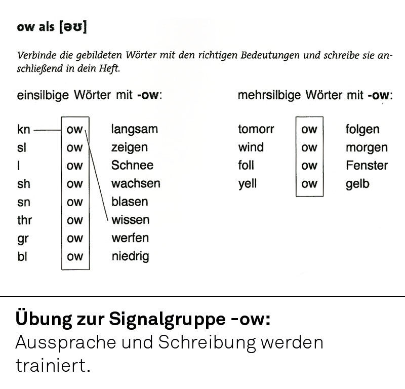 Training komplett bestehend aus: Manual, Übungsbuch, Spielkartensatz Signalgruppen, Spielkartensatz Vor- und Nachsilben, Spielkartensatz Irregular Verbs, CD mit PC-Programm und Box